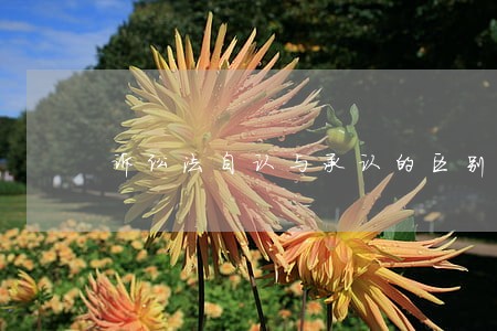 诉讼法自认与承认的区别