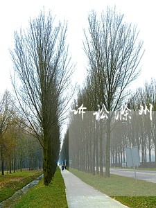 诉讼滁州王满林