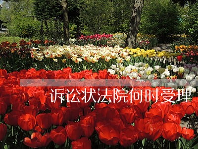诉讼状法院何时受理