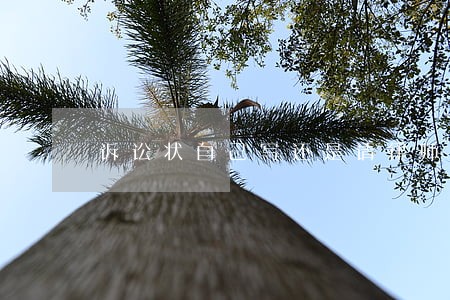 诉讼状自己写还是请律师写好