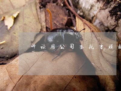诉讼用公司委托书模板