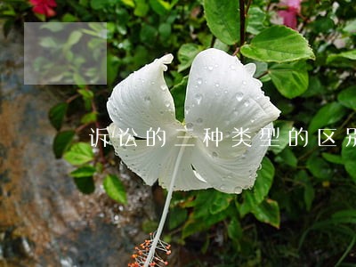 诉讼的三种类型的区别 诉讼的三种类型的区别