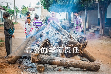 诉讼的举证责任 诉讼的举证责任