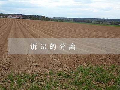 诉讼的分离 诉讼的分离