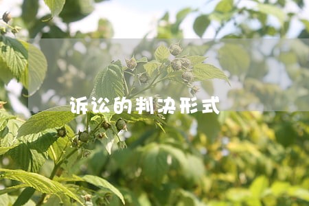 诉讼的判决形式 诉讼的判决形式