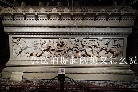 诉讼的提起的英文怎么说 诉讼的提起的英文怎么说