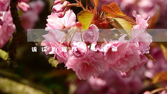 诉讼的程序怎么走啊 诉讼的程序怎么走啊