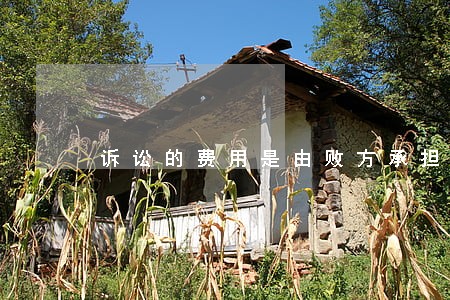诉讼的费用是由败方承担对吗