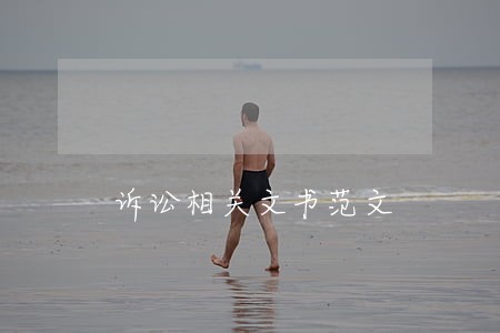 诉讼相关文书范文 诉讼相关文书范文