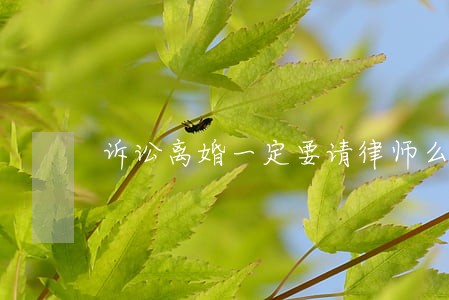 诉讼离婚一定要请律师么 诉讼离婚一定要请律师么
