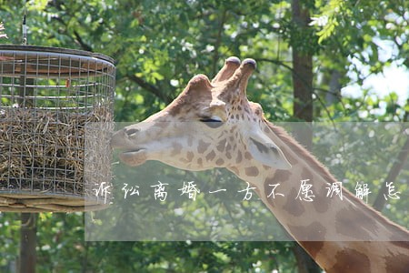 诉讼离婚一方不愿调解怎么办 诉讼离婚一方不愿调解怎么办