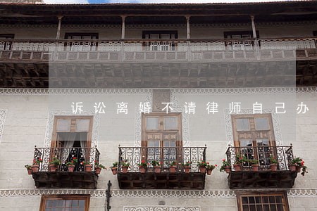 诉讼离婚不请律师自己办 诉讼离婚不请律师自己办