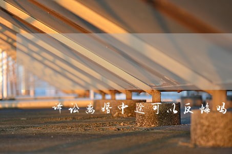 诉讼离婚中途可以反悔吗 诉讼离婚中途可以反悔吗