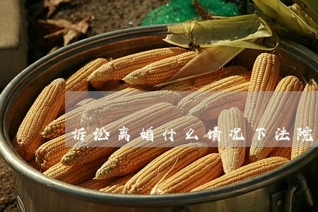 诉讼离婚什么情况下法院会判离 诉讼离婚什么情况下法院会判离