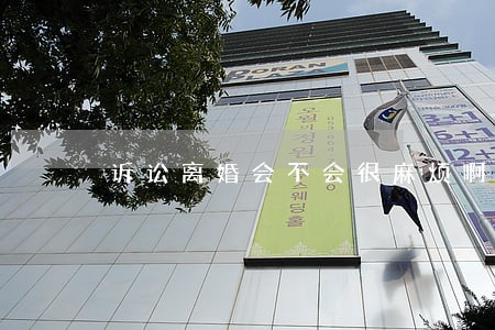 诉讼离婚会不会很麻烦啊 诉讼离婚会不会很麻烦啊