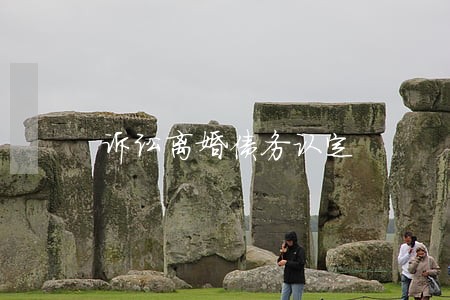 诉讼离婚债务认定 诉讼离婚债务认定