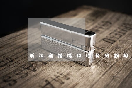 诉讼离婚债权债务分割相关法律