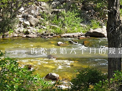 诉讼离婚六个月的规定 诉讼离婚六个月的规定