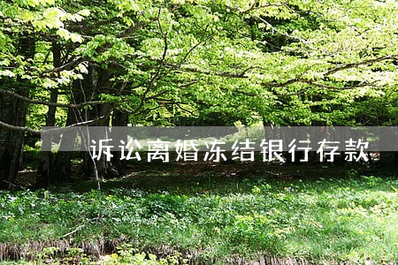 诉讼离婚冻结银行存款