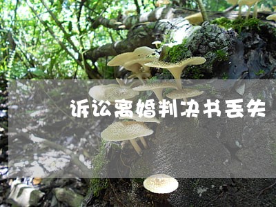 诉讼离婚判决书丢失 诉讼离婚判决书丢失