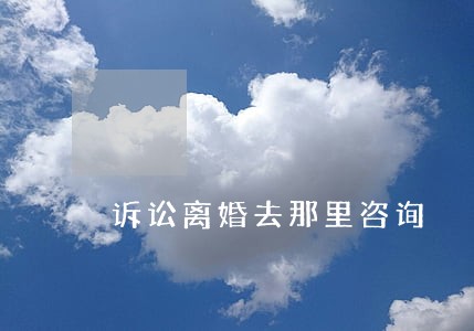 诉讼离婚去那里咨询 诉讼离婚去那里咨询