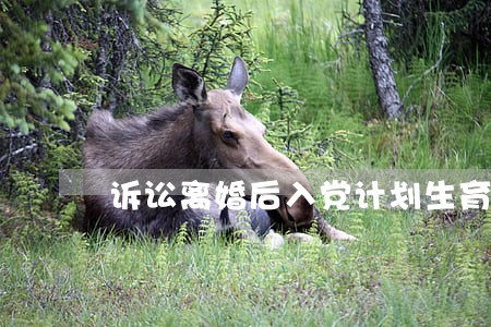 诉讼离婚后入党计划生育证明 诉讼离婚后入党计划生育证明