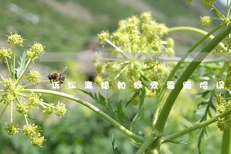 诉讼离婚如何索要赔偿误工费