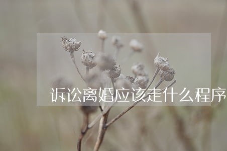 诉讼离婚应该走什么程序