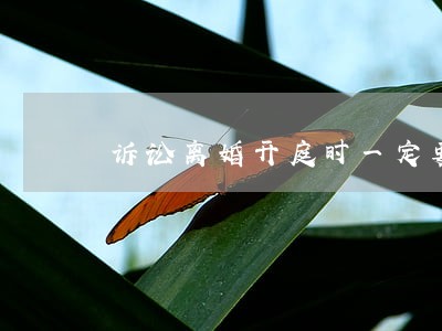 诉讼离婚开庭时一定要当事人到场 诉讼离婚开庭时一定要当事人到场