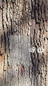 诉讼离婚律师收费多少 诉讼离婚律师收费多少