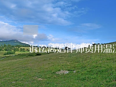 诉讼离婚律师费用温江 诉讼离婚律师费用温江