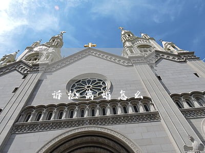 诉讼离婚怎么 诉讼离婚怎么