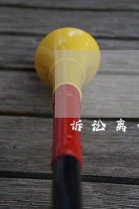 诉讼离婚时原告可以放弃财产吗 诉讼离婚时原告可以放弃财产吗