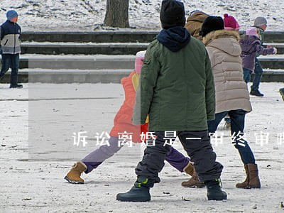诉讼离婚是一审终审吗 诉讼离婚是一审终审吗