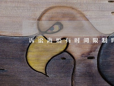 诉讼离婚有时间限制吗 诉讼离婚有时间限制吗