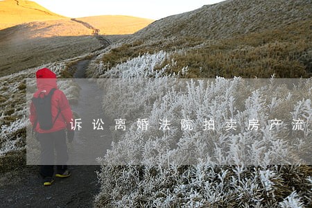 诉讼离婚法院拍卖房产流程 诉讼离婚法院拍卖房产流程