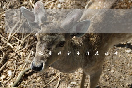 诉讼离婚的手续及证件 诉讼离婚的手续及证件