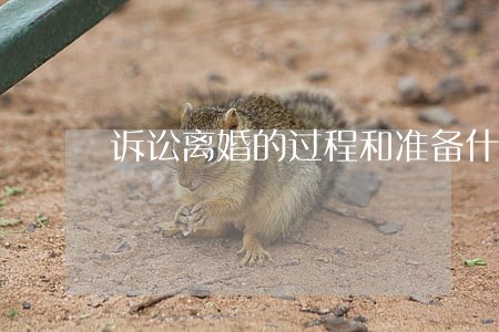诉讼离婚的过程和准备什么