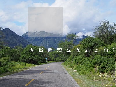 诉讼离婚立案后还有什么程序 诉讼离婚立案后还有什么程序