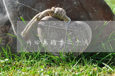 诉讼离婚要六个月 诉讼离婚要六个月