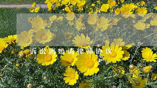 诉讼离婚请律师协议