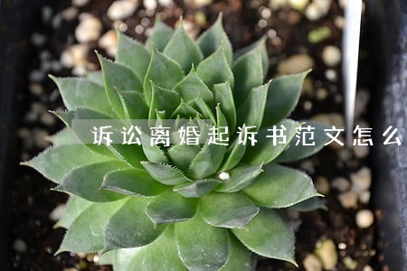 诉讼离婚起诉书范文怎么写