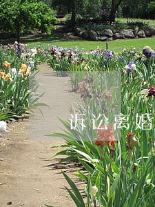 诉讼离婚过程怎么走 诉讼离婚过程怎么走