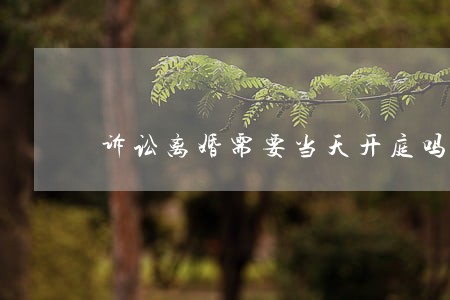 诉讼离婚需要当天开庭吗 诉讼离婚需要当天开庭吗