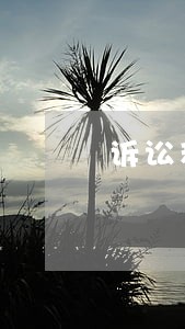 诉讼程序有哪些方式和步聚