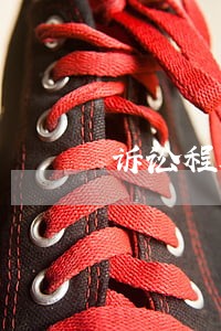 诉讼程序的步骤 诉讼程序的步骤