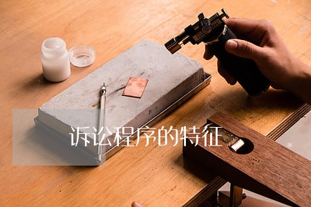 诉讼程序的特征 诉讼程序的特征