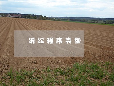 诉讼程序类型