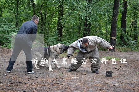 诉讼立案接受材料凭证 诉讼立案接受材料凭证