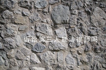 诉讼第三人能请律师吗 诉讼第三人能请律师吗